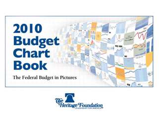 The Federal Budget in Pictures