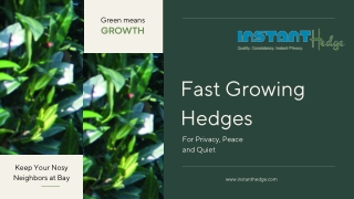 Your Exclusive Guide to Fast Growing Hedges
