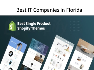 Best IT Companies in Florida