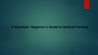 4 Important  Beginner’s Guide to Vertical Farming