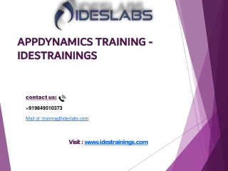 AppDynamics_ PDF