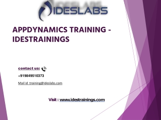 AppDynamics_ PPT