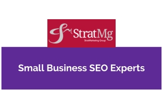 Small Business SEO Experts