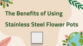 The Benefits of Using Stainless Steel Flower Pots