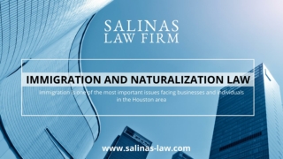 Immigration and naturalization law_salinas-law Firm