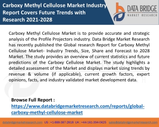 Carboxy Methyl Cellulose Market Industry Report Covers Future Trends with Research 2021-2028