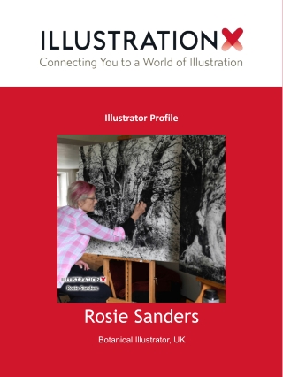 Rosie Sanders - Botanical Illustrator, UK