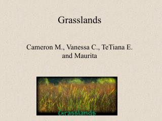 Grasslands