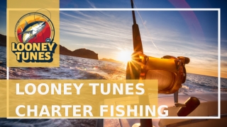 Catching Blackfin Tuna-Looney Tunes Charter Fishing.pptx