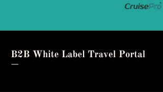 B2B White Label Travel Portal