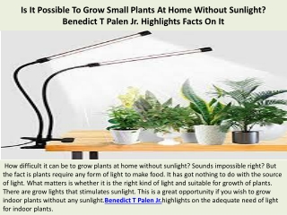 Is It Possible To Grow Small Plants At Home Without Sunlight? Benedict T Palen J