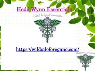 Oil of Oregano for Gut Health