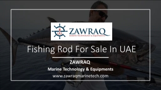 Fishing Rod For Sale In UAE_