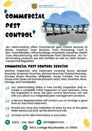 Lake Charles Pest Control | Lake Charles Termite Control