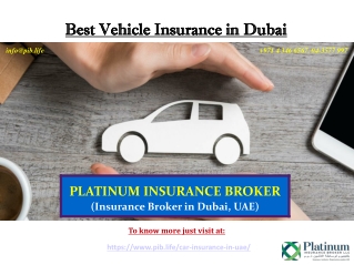 Best Vehicle Insurance in Dubai