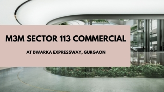 M3M Sector 113 In Dwarka Expressway, Gurgaon - Download PDF