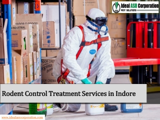 Rodent Control Treatment Services in Indore