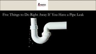 Five Things to Do Right Away If You Have a Pipe Leak