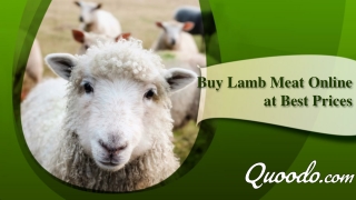 Buy Lamb Meat Online in UAE at Best Prices