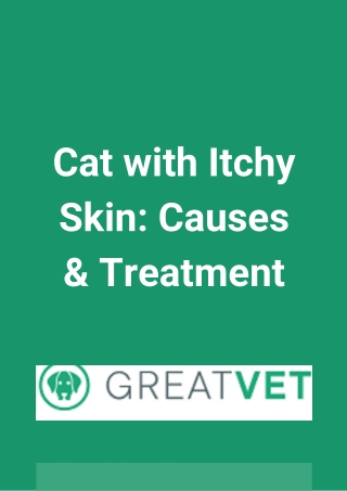 Cat with Itchy Skin Causes & Treatment