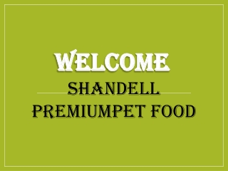 Best puppy food in Rawdon