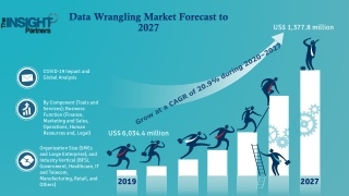Data Wrangling Market to Grow at a CAGR of 20.9% to reach US$ 6,034.4 million