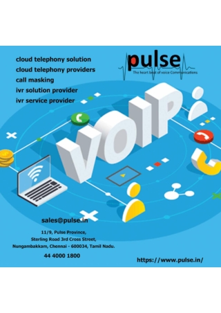 ivr service provider