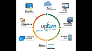 Software Company In Nashik | Upturnit