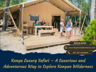 Kenya Luxury Safari – A Luxurious and Adventurous Way to Explore Kenyan Wilderne