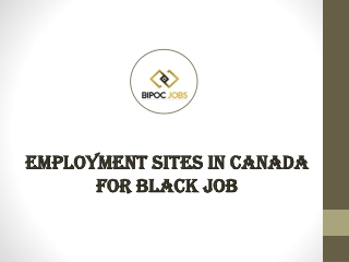 Employment Sites in Canada for Black Job