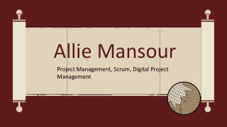 Allie Mansour - Hardworking and Dedicated Professional