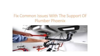 Fix Common Issues With The Support Of Plumber Phoenix