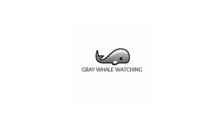 Baja Jones Adventure Travel With Close Whale Encounters