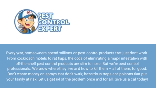 Pest Control Services - Pest control expert