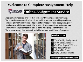 Online Assignment Writing Service