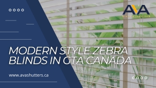 Modern Style Zebra Blinds in GTA Canada