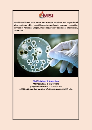 Mold Solutions & Inspections Wearemsi.com