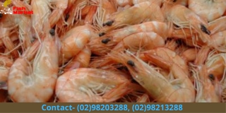 Looking to buy Prawns Online