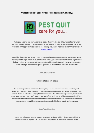 What Should You Look for In a Rodent Control Company