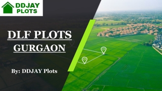 DLF Plots Sector 93, Gurgaon | Call  91 96430000630