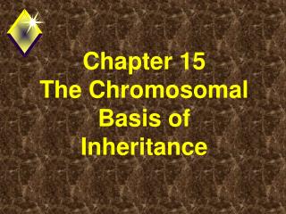 Chapter 15 The Chromosomal Basis of Inheritance