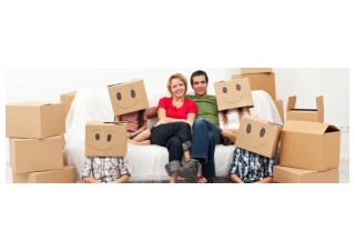 Dolphin Relocation Packers and Movers