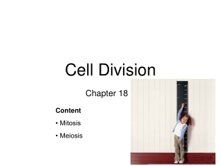 Cell Division (part 1): Introduction to Cell Division