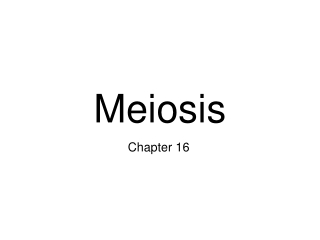 Cell Division (part 5): Meiosis