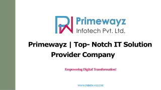 Primewayz | Top- Notch IT Solution Provider Company