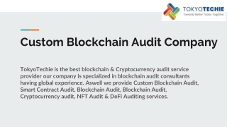 Custom Blockchain Audit Company