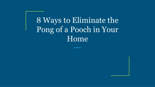 8 Ways to Eliminate the Pong of a Pooch in Your Home