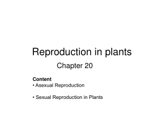 Reproduction in Plants (part 1): Asexual and Sexual Reproduction in plants