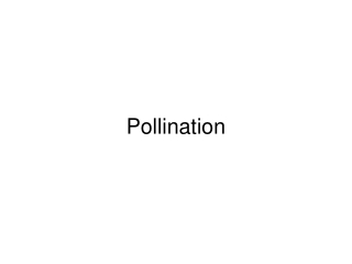 Reproduction in Plants (part 2): Pollination