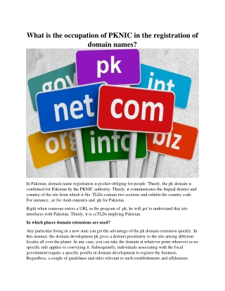 What is the occupation of PKNIC in the registration of domain names